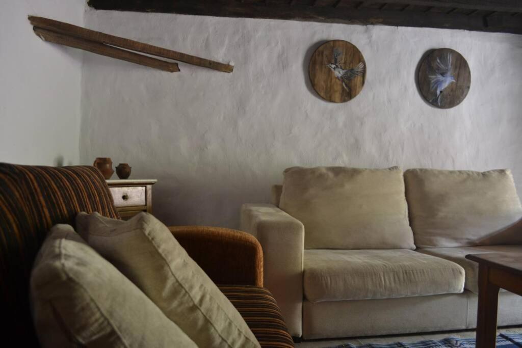Casa Rural Lomito Del Pino Техеда Екстериор снимка