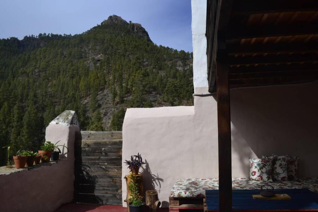 Casa Rural Lomito Del Pino Техеда Екстериор снимка