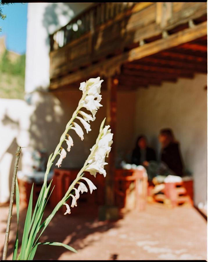 Casa Rural Lomito Del Pino Техеда Екстериор снимка
