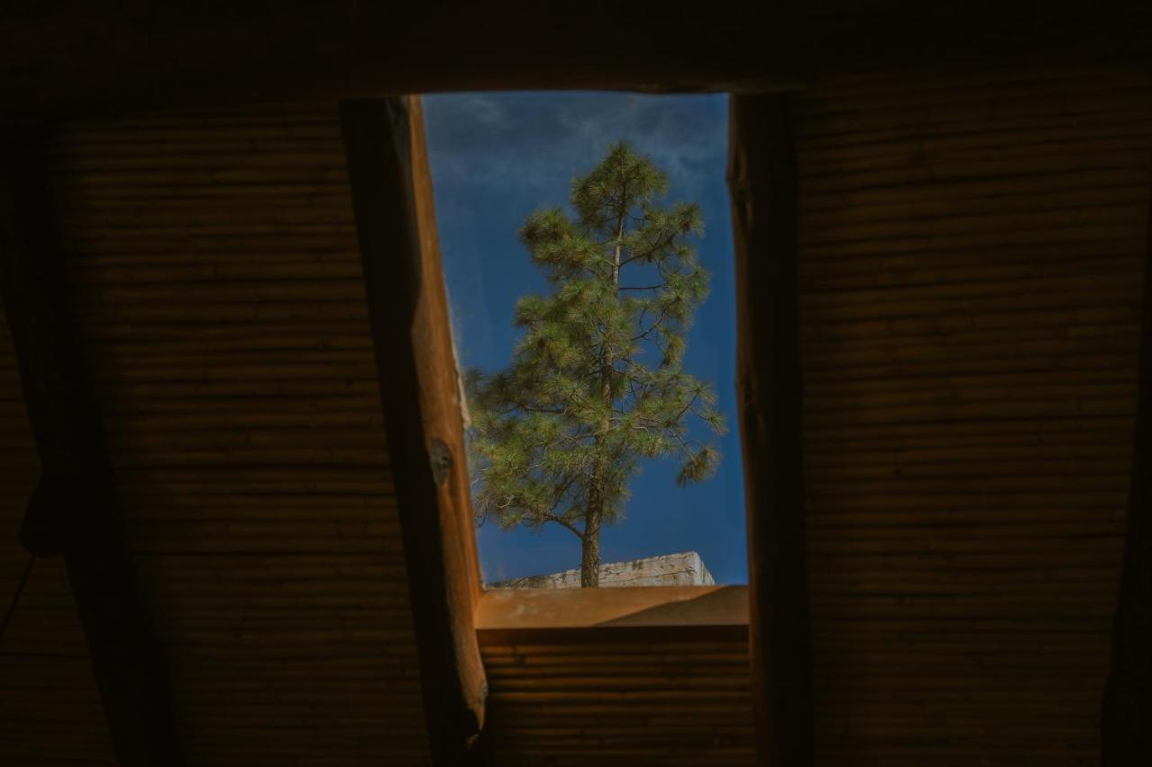 Casa Rural Lomito Del Pino Техеда Екстериор снимка